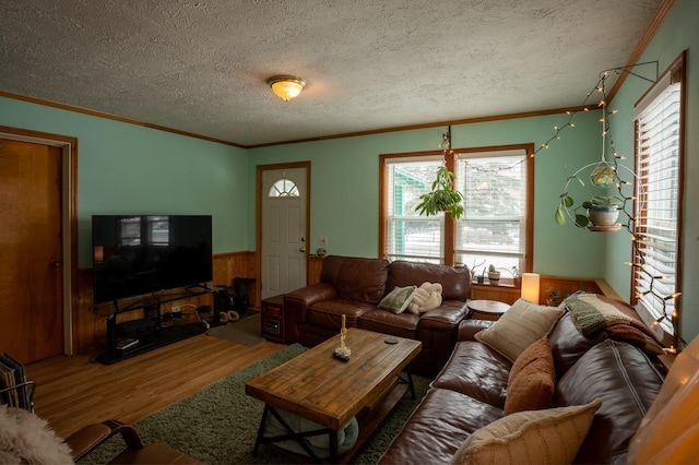 living room with hardwood / wood-style flooring, ornamental molding, and a textured ceiling