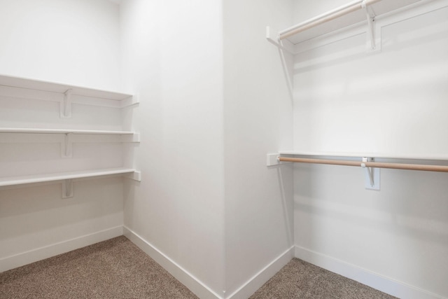 walk in closet with carpet