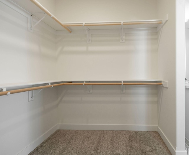 spacious closet with carpet floors