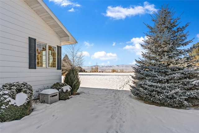 view of yard covered in snow