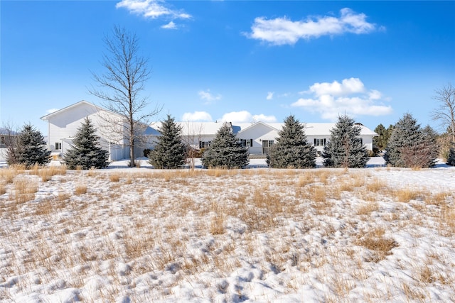 view of yard covered in snow