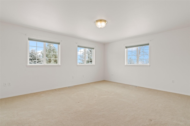 unfurnished room featuring carpet