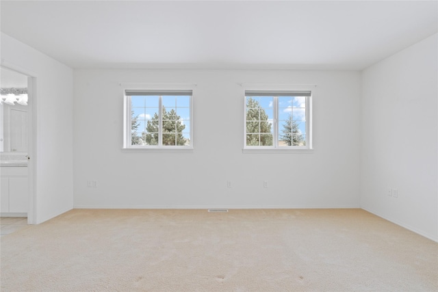 spare room with plenty of natural light and light carpet