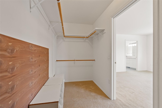 spacious closet featuring light carpet