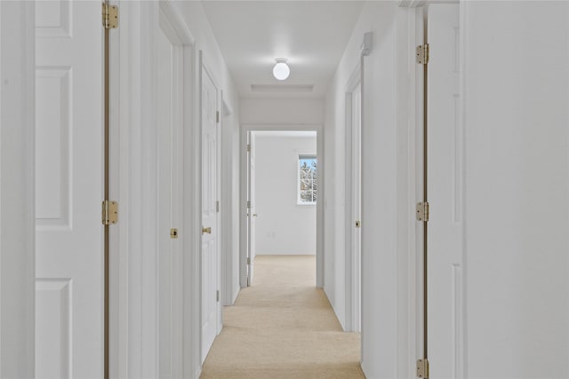 hallway with light carpet