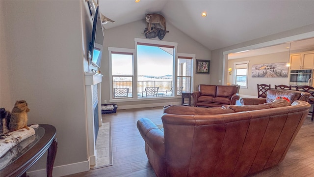 living room featuring hardwood / wood-style flooring and lofted ceiling