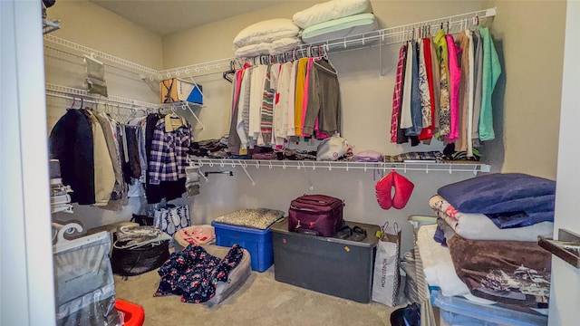 spacious closet featuring carpet floors