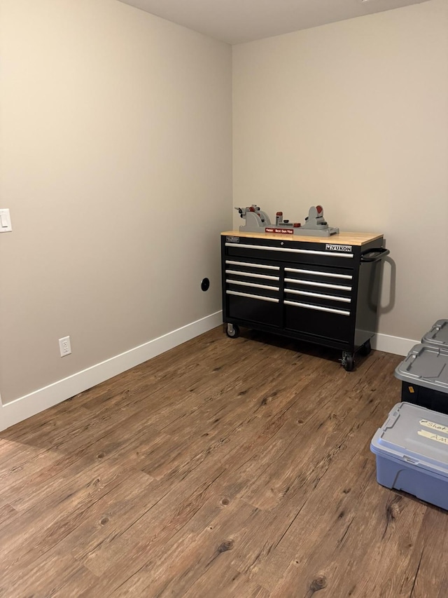 interior space with wood-type flooring