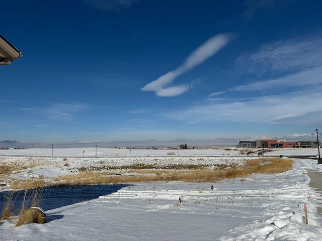 view of snowy yard