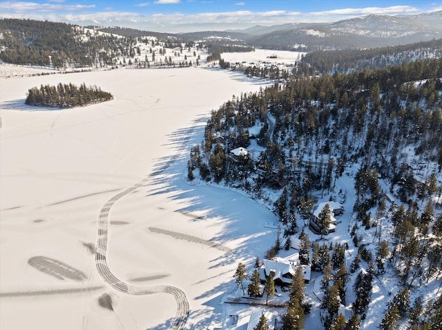 snowy aerial view featuring a mountain view