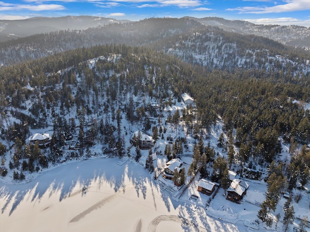 snowy aerial view featuring a mountain view and a forest view
