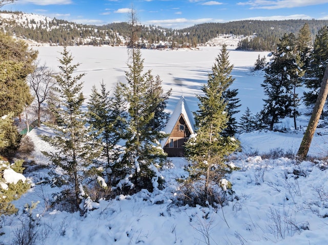 snowy aerial view featuring a forest view