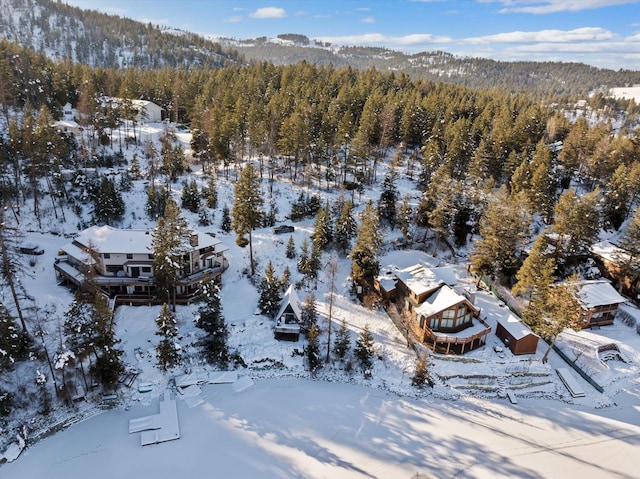 snowy aerial view with a wooded view