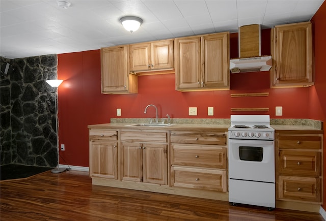 kitchen featuring sink, dark wood-type flooring, and white range with electric stovetop