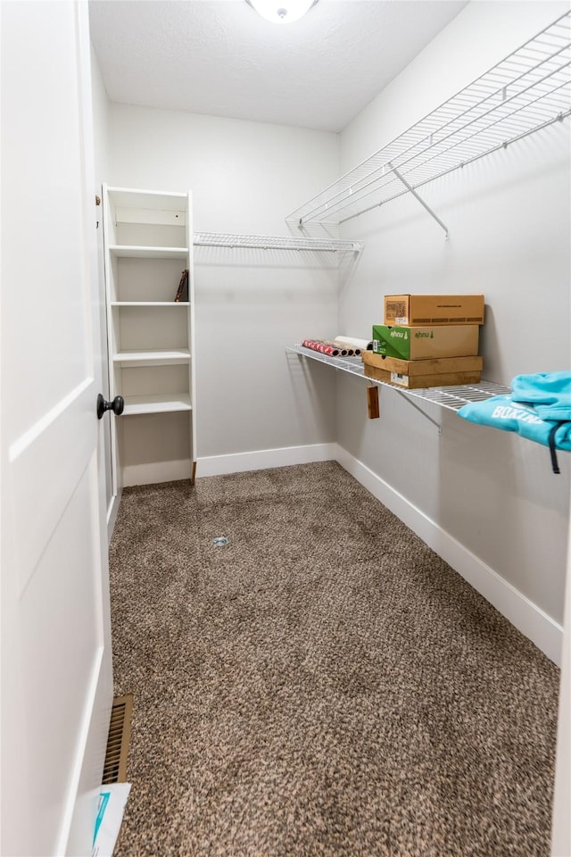 walk in closet with carpet flooring