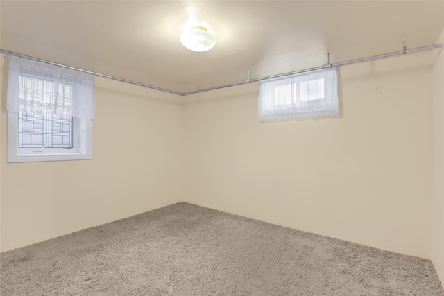 basement with carpet floors