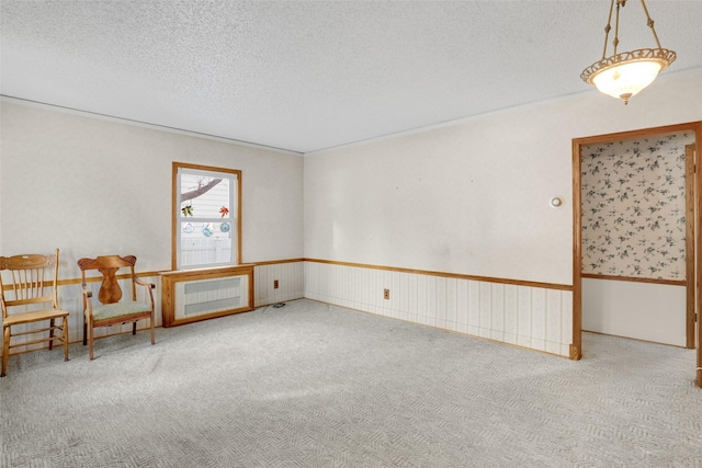 carpeted spare room with a textured ceiling