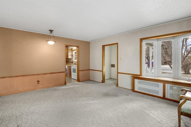 carpeted empty room with crown molding and a textured ceiling