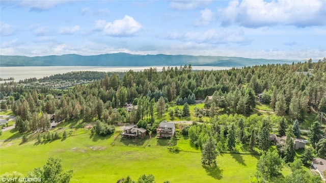 birds eye view of property with a water and mountain view