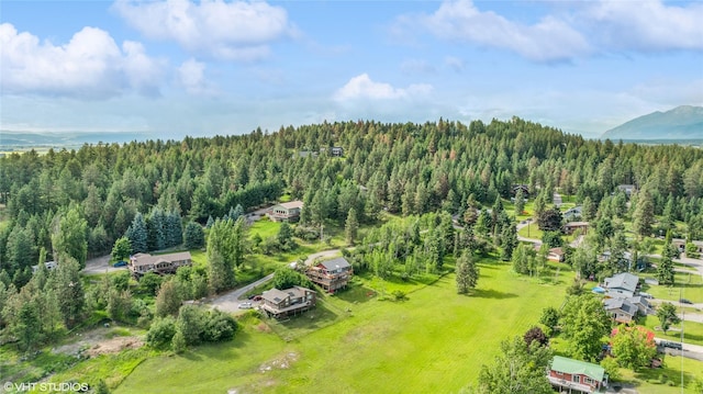 drone / aerial view with a mountain view