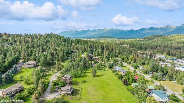 bird's eye view featuring a mountain view