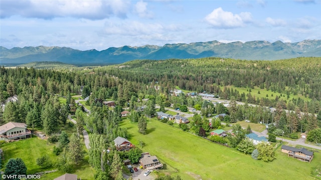 aerial view with a mountain view