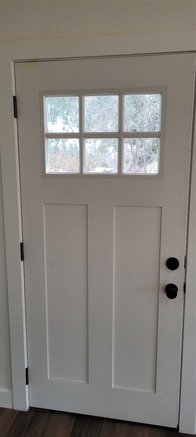 doorway with dark wood-type flooring and a healthy amount of sunlight