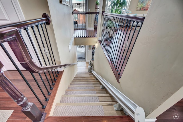 stairway with hardwood / wood-style floors