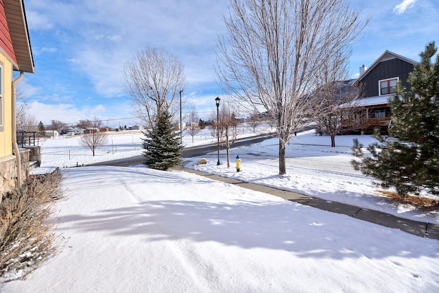 view of snowy yard