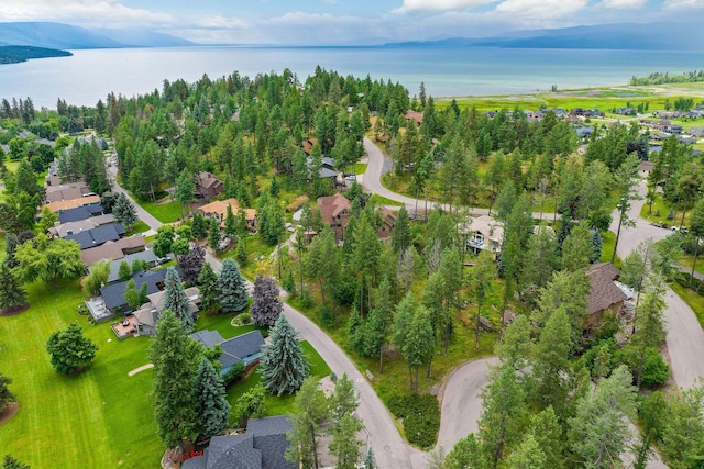 birds eye view of property featuring a water and mountain view