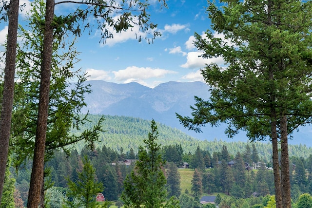 property view of mountains