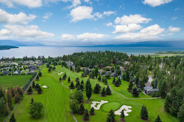 drone / aerial view with a water and mountain view