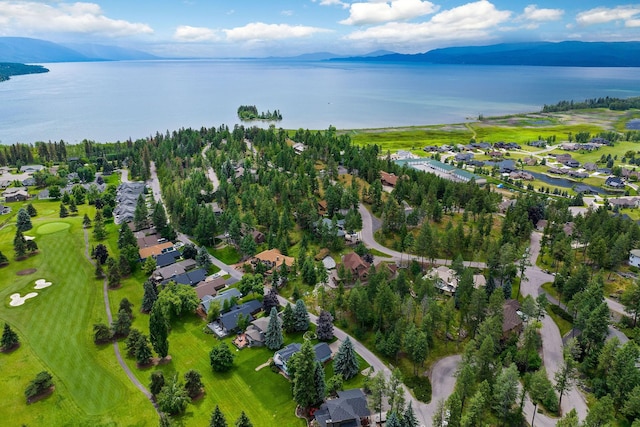 birds eye view of property featuring a water and mountain view