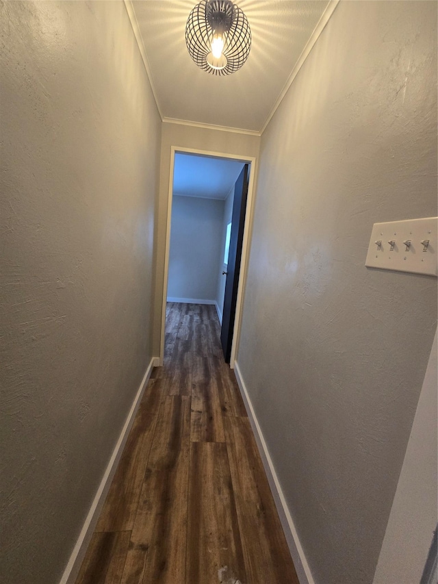 hall with dark wood-type flooring and ornamental molding