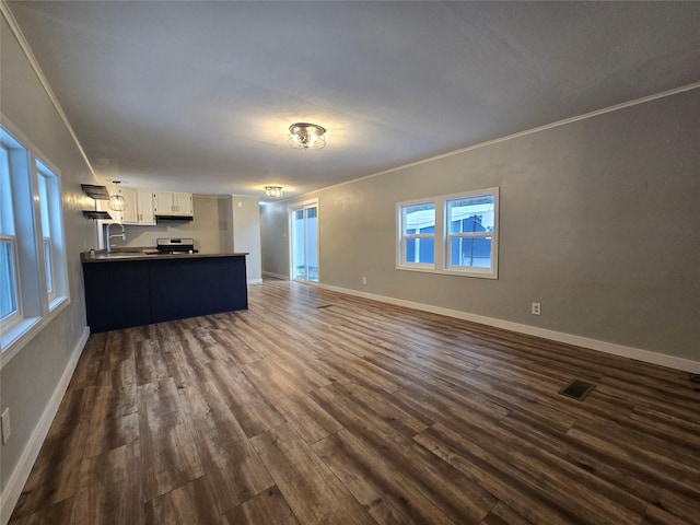 unfurnished living room featuring dark hardwood / wood-style flooring, sink, and crown molding