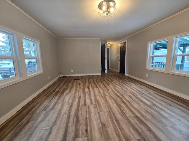 empty room featuring crown molding and dark hardwood / wood-style flooring