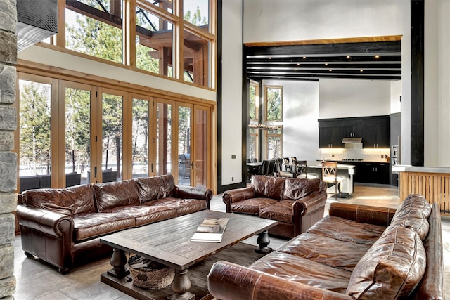 1180 Reardon Ln, Alberton, MT 59820 - living area featuring a high ceiling