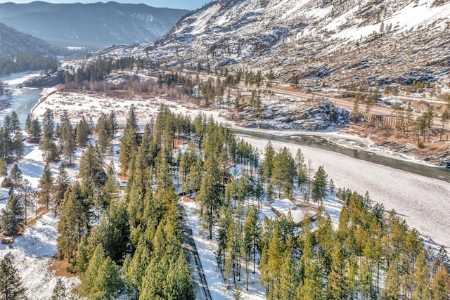 view of mountain feature