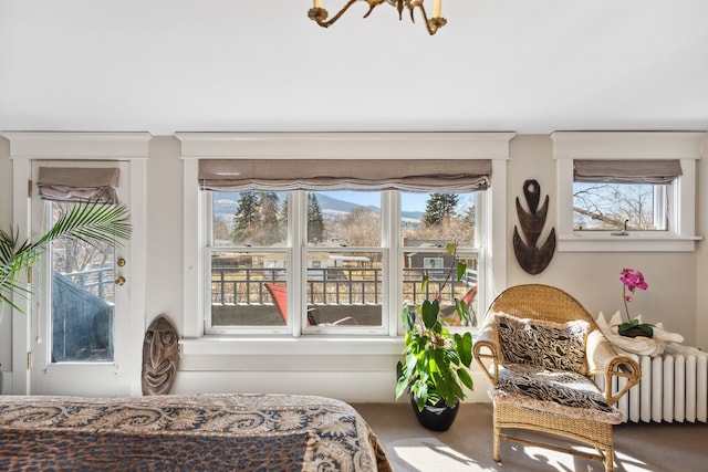 carpeted bedroom featuring radiator