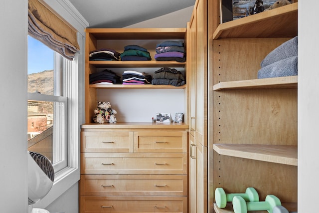 spacious closet with vaulted ceiling