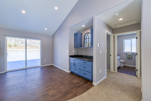 interior space featuring dark hardwood / wood-style floors, lofted ceiling, a healthy amount of sunlight, and blue cabinetry