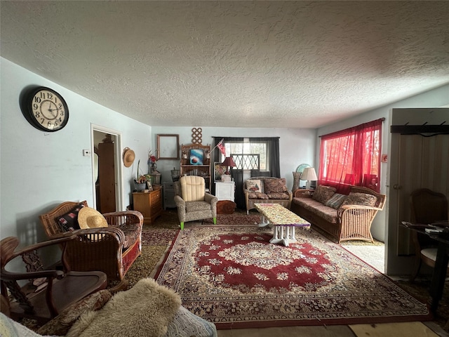 living room with a textured ceiling