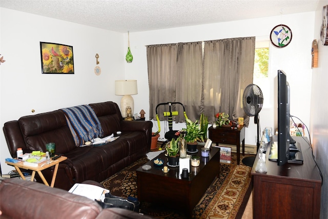 living room featuring a textured ceiling