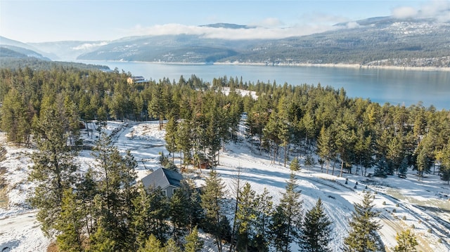 aerial view featuring a view of trees and a water and mountain view