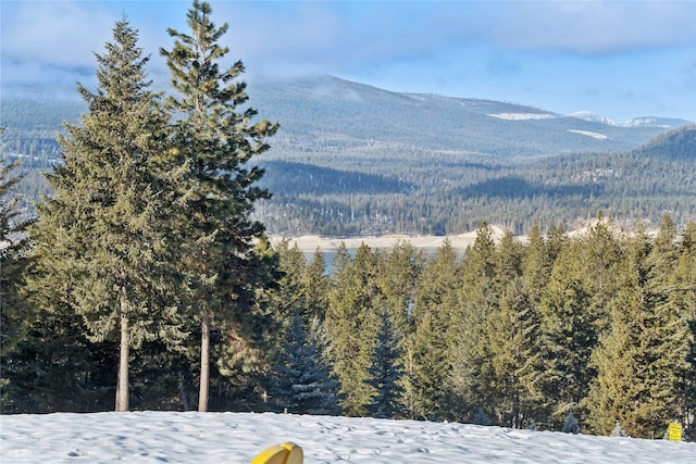 view of mountain feature featuring a view of trees