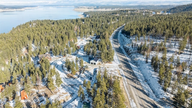 bird's eye view with a water view and a forest view