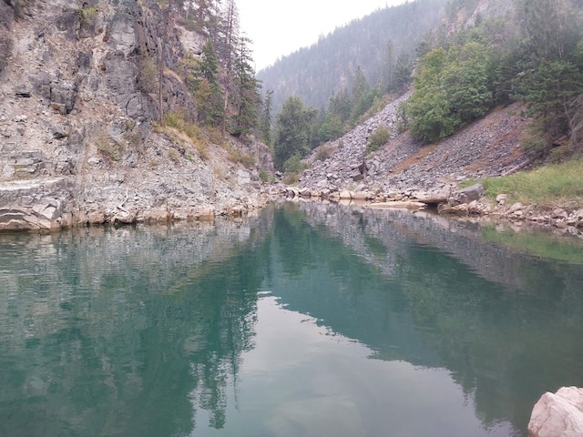 property view of water with a mountain view and a forest view