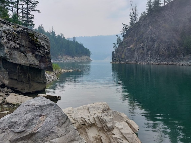 property view of water featuring a view of trees