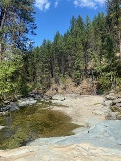 view of local wilderness featuring a wooded view