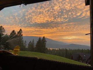 view of yard at dusk